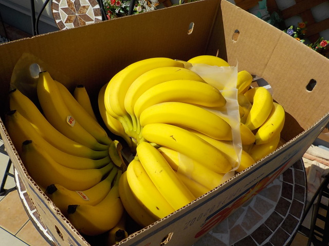 中古車販売 中古車買取 アップル