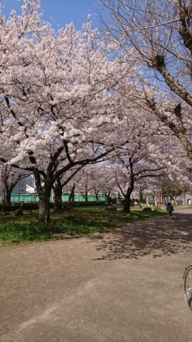 中古車販売 中古車買取 アップル