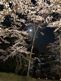 中古車販売 中古車買取 アップル