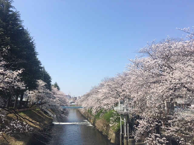 中古車販売 中古車買取 アップル