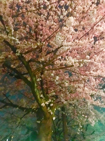 中古車販売 中古車買取 アップル