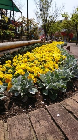 中古車販売 中古車買取 アップル