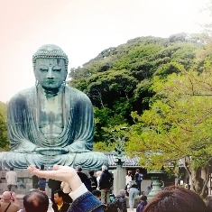 中古車販売 中古車買取 アップル