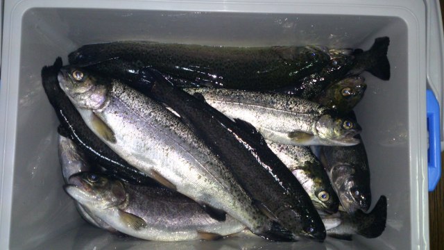 中古車販売 中古車買取 アップル