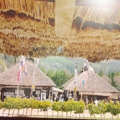 中古車販売 中古車買取 アップル