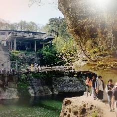 中古車販売 中古車買取 アップル