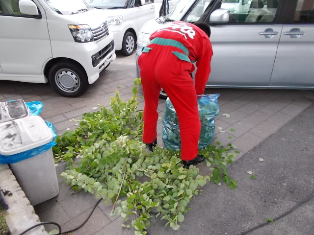中古車販売 中古車買取 アップル