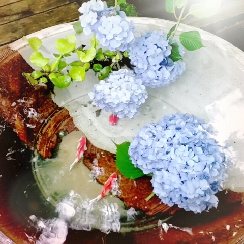 中古車販売 中古車買取 アップル