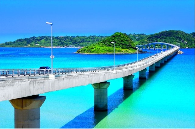 中古車販売 中古車買取 アップル