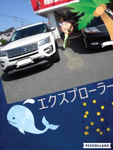 中古車販売 中古車買取 アップル