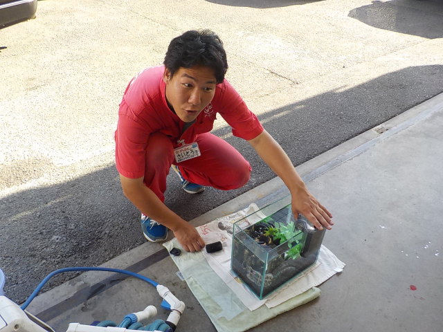 中古車販売 中古車買取 アップル