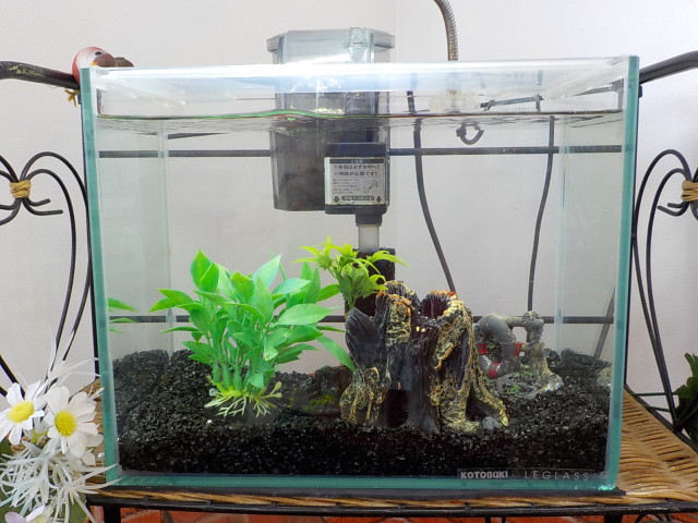 中古車販売 中古車買取 アップル