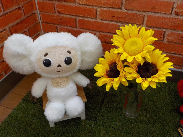 中古車販売 中古車買取 アップル