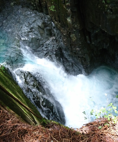 中古車販売 中古車買取 アップル