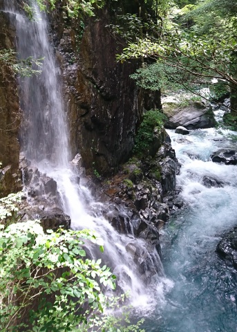 中古車販売 中古車買取 アップル