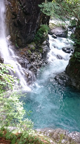 中古車販売 中古車買取 アップル