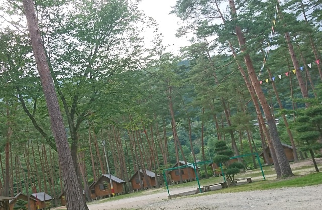 中古車販売 中古車買取 アップル