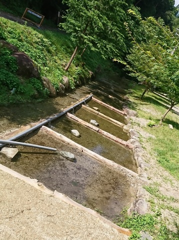 中古車販売 中古車買取 アップル