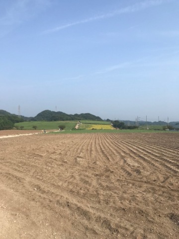 中古車販売 中古車買取 アップル