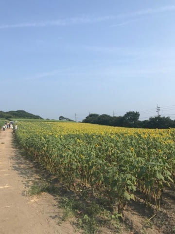 中古車販売 中古車買取 アップル