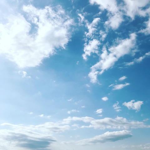 中古車販売 中古車買取 アップル