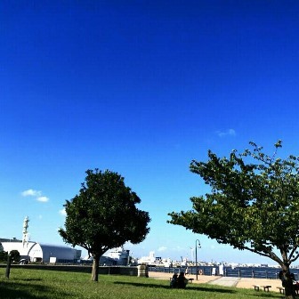 中古車販売 中古車買取 アップル