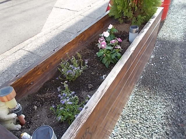 中古車販売 中古車買取 アップル