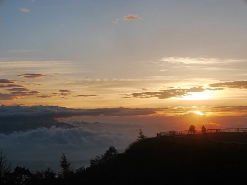 中古車販売 中古車買取 アップル