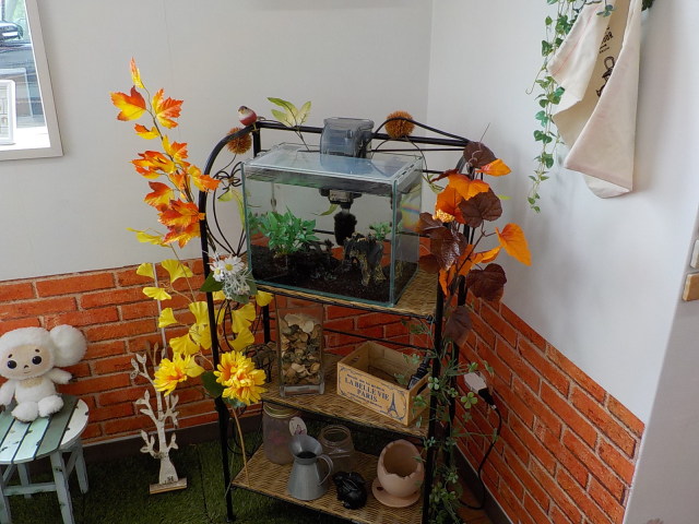 中古車販売 中古車買取 アップル