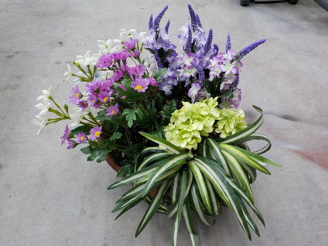 中古車販売 中古車買取 アップル