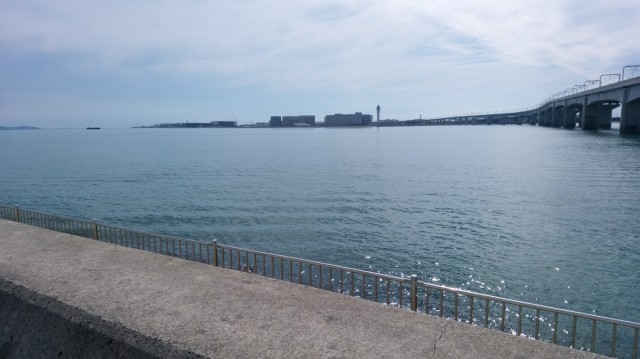 中古車販売 中古車買取 アップル