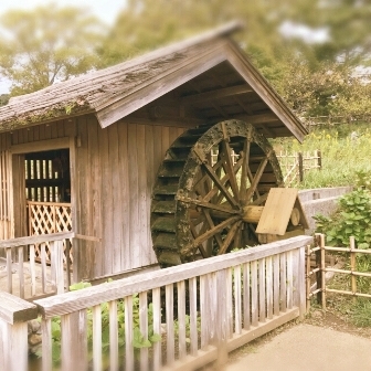 中古車販売 中古車買取 アップル