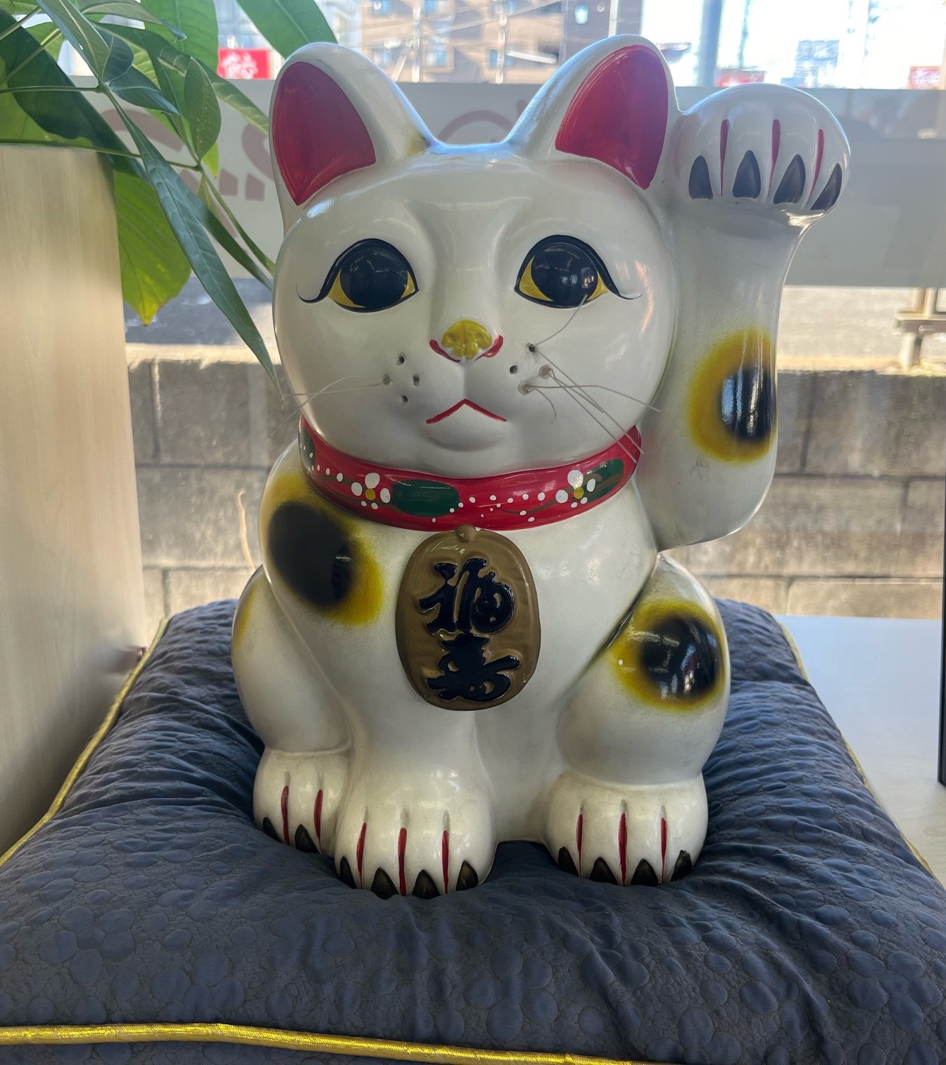 車買取をお考えなら、shikuname6のアップル青梅店にお立ち寄りください！無料で簡単に査定できます。