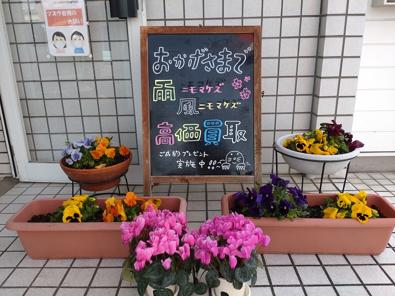 shikuname4のアップル扶桑店で、あなたの車を簡単に査定してみませんか？お気軽にご来店ください。