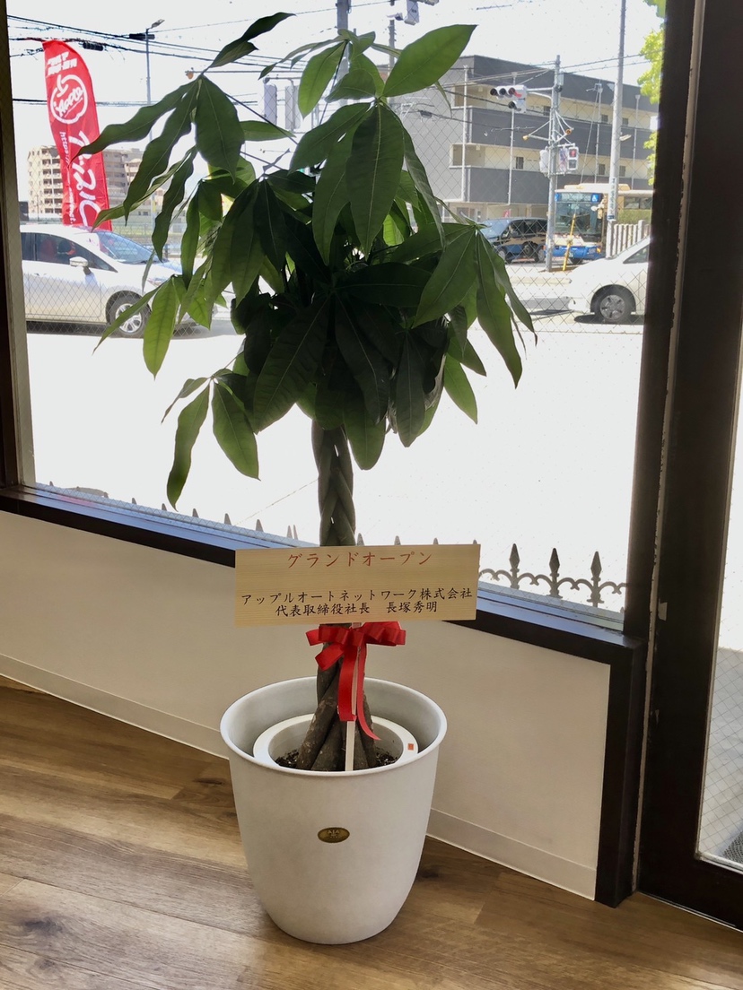 車買取をお考えなら、shikuname6のアップル宝塚店にお立ち寄りください！無料で簡単に査定できます。