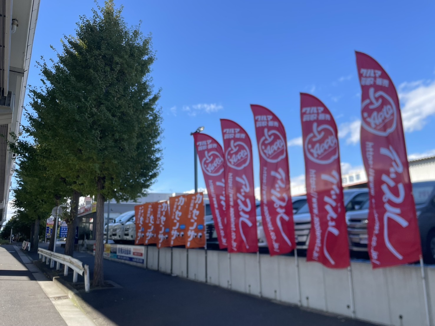 車査定のご相談は、shikuname2のアップル横浜鶴見店で！専門スタッフが丁寧に対応します。