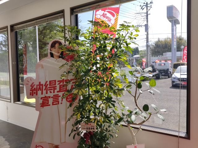 アップル香取佐原店では、車買取・査定がスピーディーで安心。shikuname5での査定ならぜひお越しください！