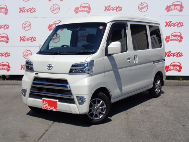 ピクシスバン  2020