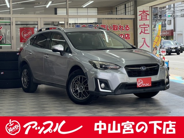 XV  2017