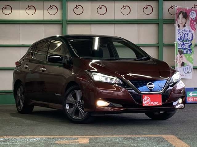 リーフ  2021