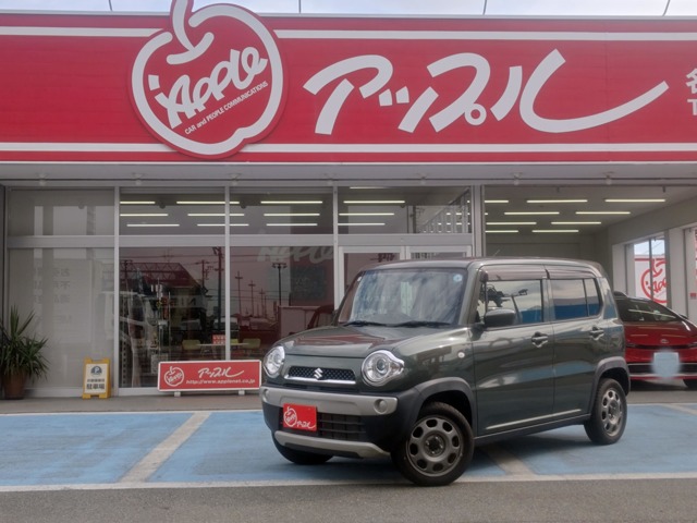 ハスラー  2019