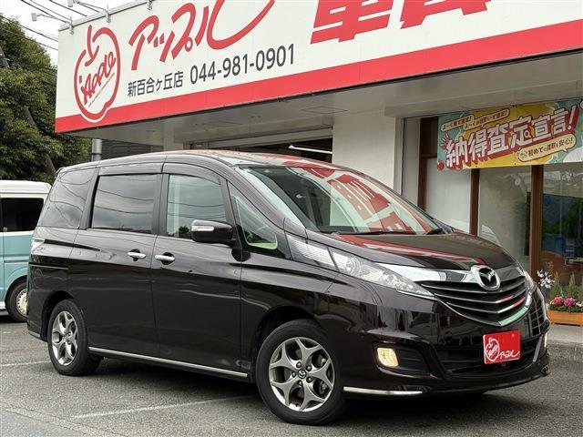 ビアンテ  2013