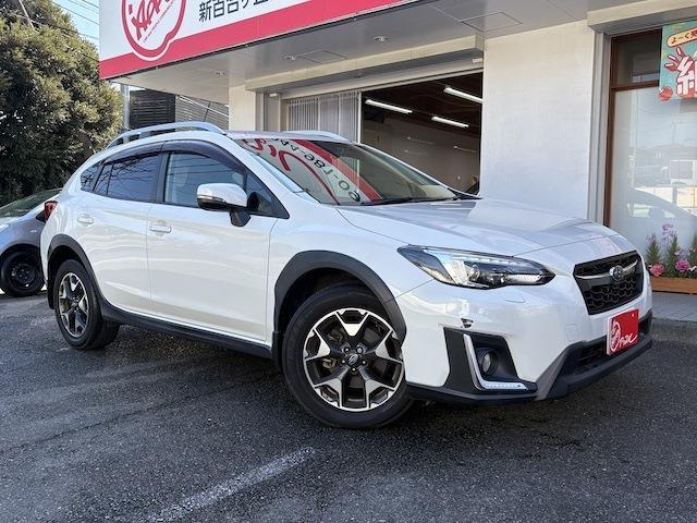 XV  2019
