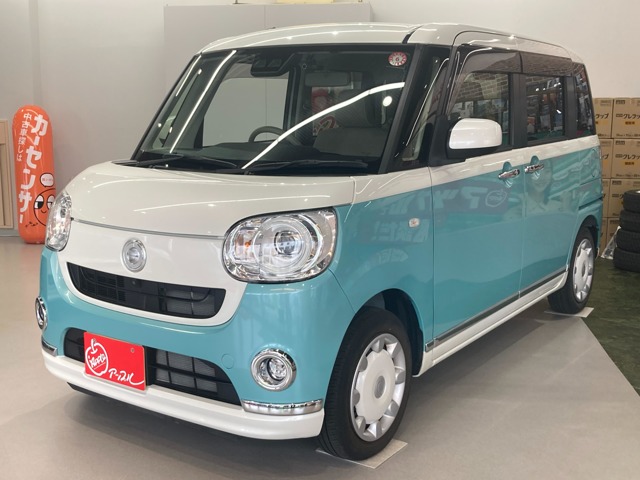 ムーヴキャンバス  2018